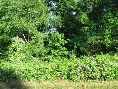 147 Oak Creek Rd unit 332, Statesville, NC 28625 - photo 4