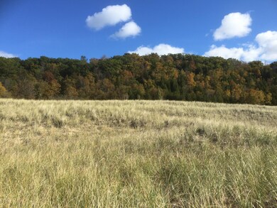 11 acres on LK MI, Onekama