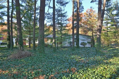 5910 Whitman -02