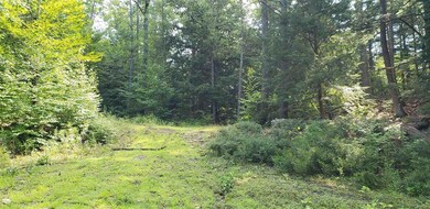 0 Jackson Lot Rd unit 4823396, Winchester, NH 03470 - photo 5