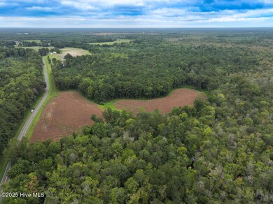 0 Stocking Head Rd, Greenevers, NC 28458 - photo 2