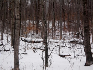 ACREAGE OFF W US-2