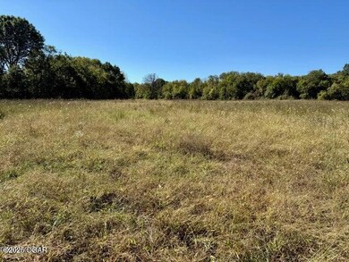 Xxx-B Teal Dr, Newtonia, MO 64853 - photo 7