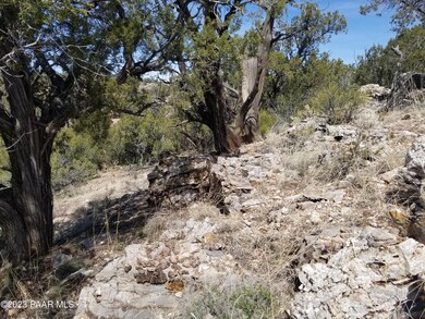 269a Off Cone Rd, Ash Fork, AZ 86320 - photo 4