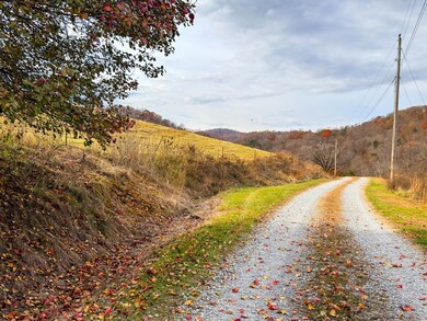 0 Sugar Hollow Rd unit Lot 1, Lafollette, TN 37766 - photo 6