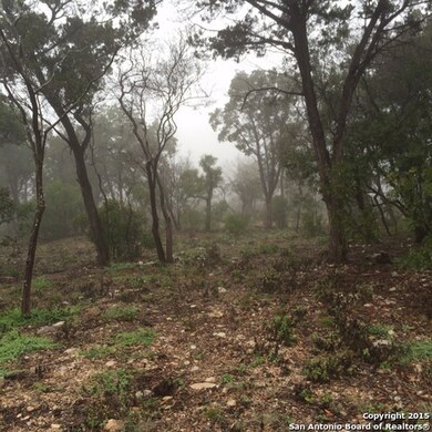 14111 Panther Valley, Helotes, TX 78023 - photo 2