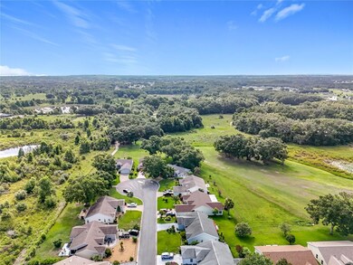 26338 Glen Eagle Dr, Leesburg, FL 34748 - photo 7