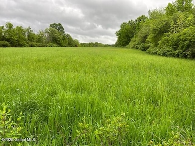 L1.12 Carlisle Rd, Canajoharie, NY 13317 - photo 6