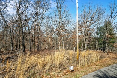 Lot 2 Cardenden Ln, Bella Vista, AR 72715 - photo 5