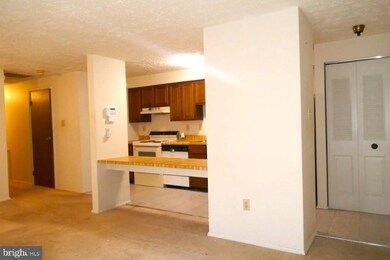 12407 Hickory Tree Way, Germantown, MD 20874 - photo 6