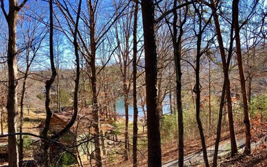 461 Sunnyside Estates, Hiawassee, GA 30546 - photo 4