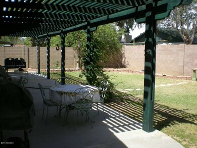 Another view of the back yard