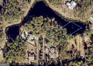 0 Black Tern Way, Waverly, GA 31565 - photo 4