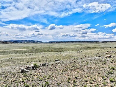 656 Ute Trace, Hartsel, CO 80449 - photo 6