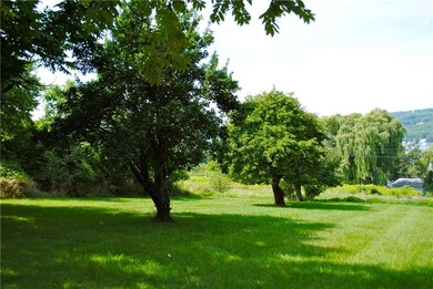 Older apple trees with a great harvest coming!