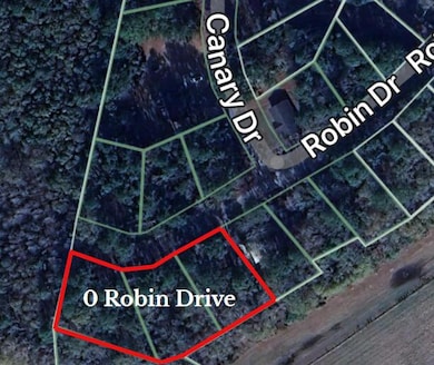 0 Robin Dr, Bamberg, SC 29003 - photo 2