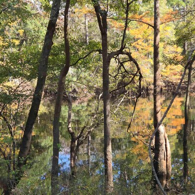 View of nature with a water view