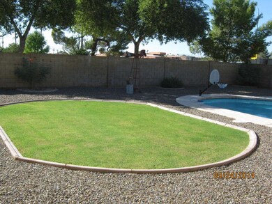 Easy maintenance back yard