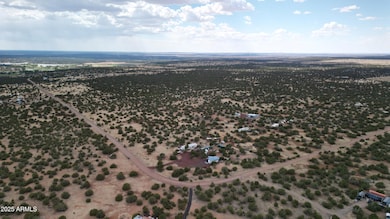 DJI_0107 (002)