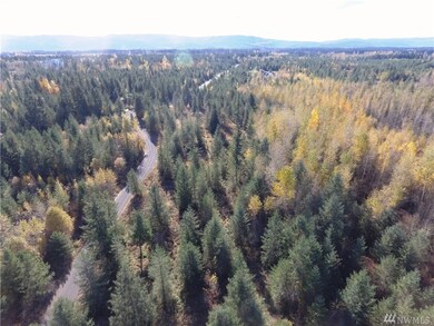 11 Starflower Ln SE, Yelm, WA 98597 - photo 6