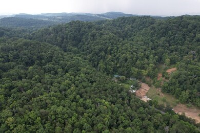 1655 Lester Whitt Rd, Rutledge, TN 37861 - photo 4