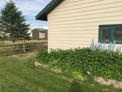 Raspberries behind shop