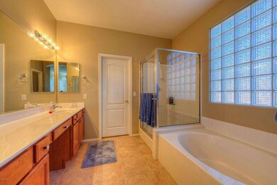 Master Tub and Shower