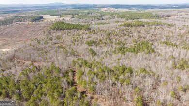 573 Relay Rd SE, Silver Creek, GA 30173 - photo 6