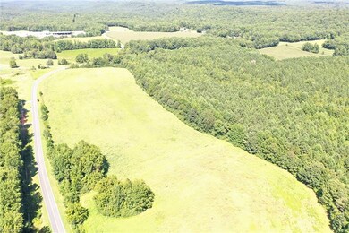 00 Pisgah Covered Bridge Rd, Asheboro, NC 27205 - photo 5