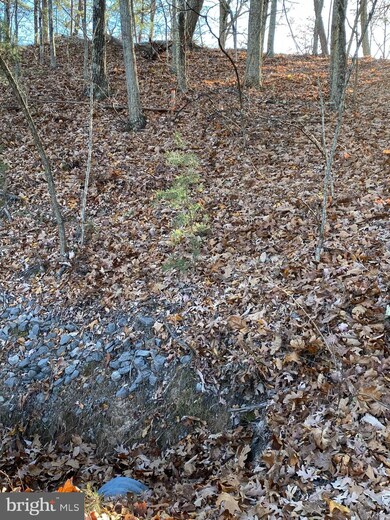 LOT 237 Ridge View Rd, Moorefield, WV 26836 - photo 4