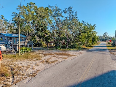 4 6th St E, Steinhatchee, FL 32359 - photo 5