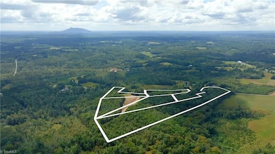 0 Dearmin Rd unit 25132044, Westfield, NC 27053 - photo 4