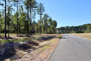 206 Mercy Way unit 58, Princeton, LA 71067 - photo 4