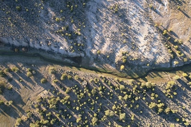 0 State Road 341 unit 202505052, Petaca, NM 87554 - photo 6