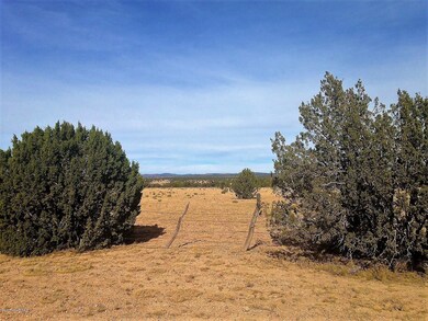 17 Wagon Tree Rd, Ash Fork, AZ 86320 - photo 4