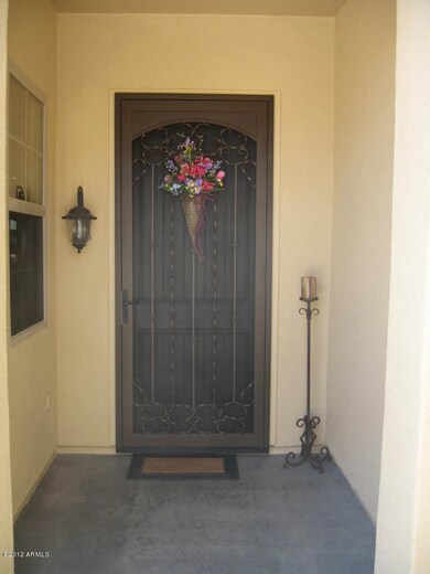 Security screen  door at entrance