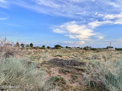 TBD Shrode Rd, Anthony, NM 88021 - photo 3