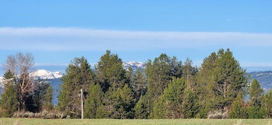 West View