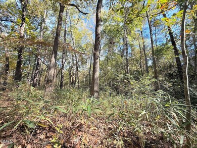 0 Elfman Dr, Anderson Creek, NC 28390 - photo 6