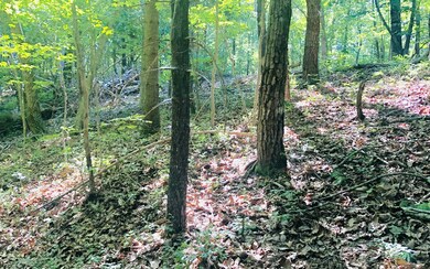 Additional View