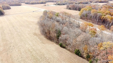 Tract 1 Polston Ln, Hickory Grove Township, MO 63357 - photo 5