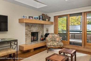 1020 E Hopkins Ave unit 9, Aspen, CO 81611 - photo 5