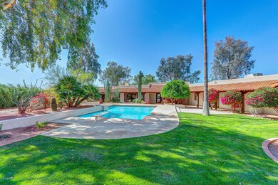 Back yard