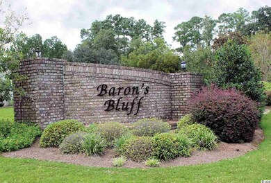 186 Barons Bluff Dr unit Elm, Conway, SC 29526 - photo 2
