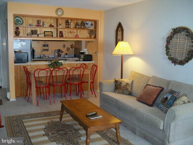 1836 Fairway Dr unit 225, Basye, VA 22810 - photo 5