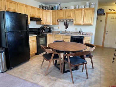 212 S Avion Dr unit 101 Cimarron Bu, Crested Butte, CO 81224 - photo 5