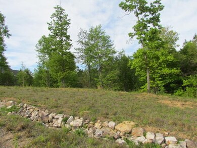 165 Lookout View Dr, Jasper, TN 37347 - photo 4