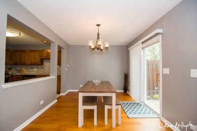 2051 Peach Tree Ln unit 4124, Algonquin, IL 60102 - photo 6