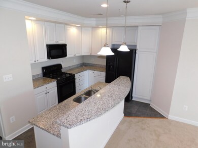 937 Hidden Marsh St, Gaithersburg, MD 20877 - photo 5