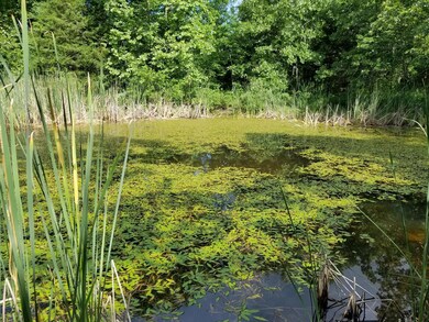 20180622_093754 (Copy)
